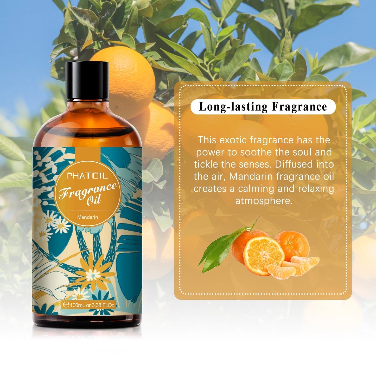 Phatoil 100ml Fragrance Oils With Droppers And Roll-On Bottles
