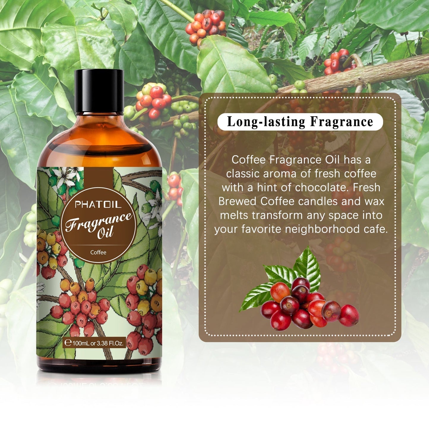 Phatoil 100ml Fragrance Oils With Droppers And Roll-On Bottles