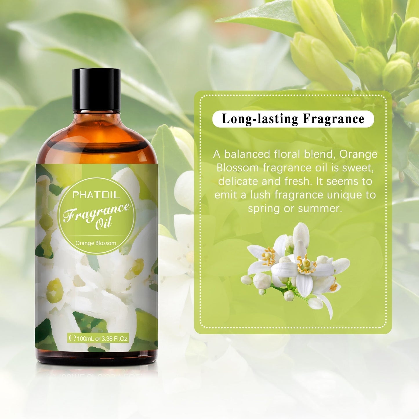 Phatoil 100ml Fragrance Oils With Droppers And Roll-On Bottles