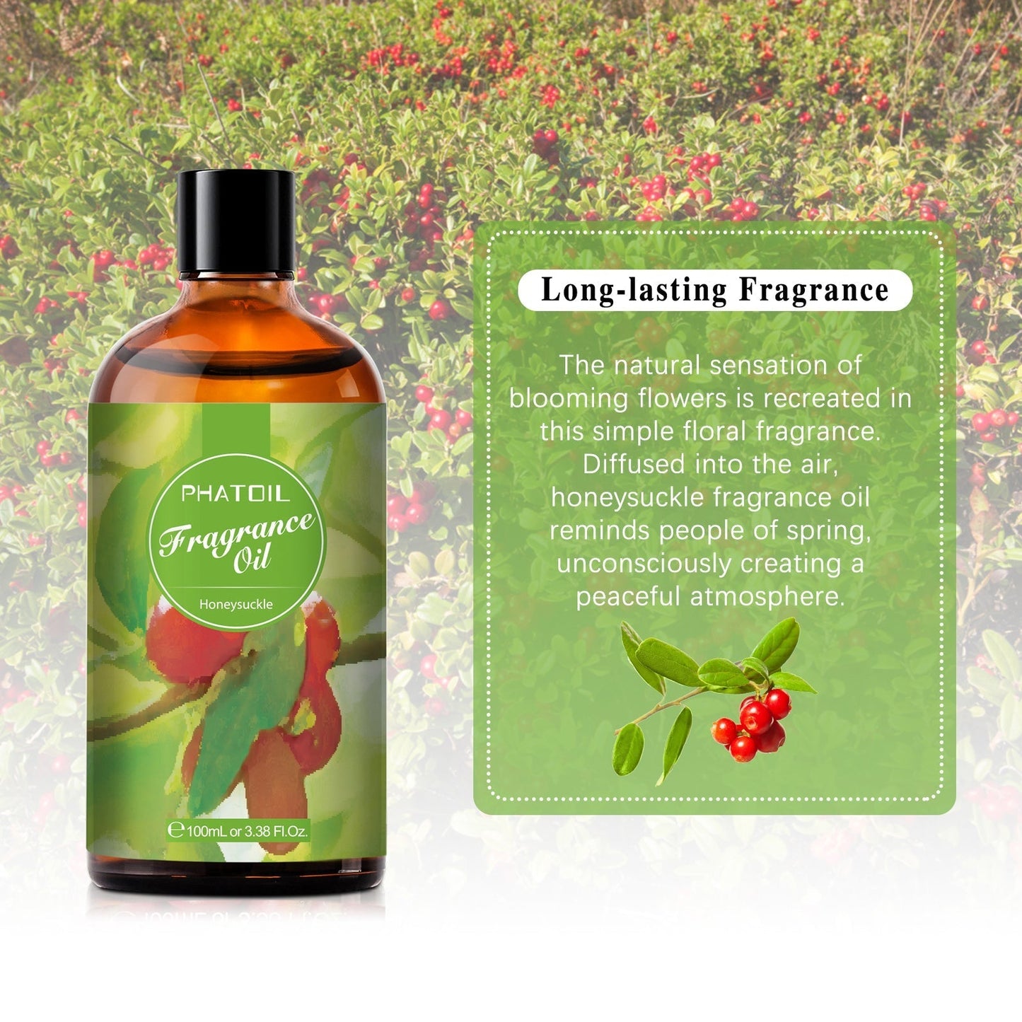 Phatoil 100ml Fragrance Oils With Droppers And Roll-On Bottles