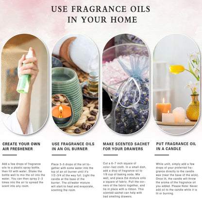 Phatoil 100ml Fragrance Oils With Droppers And Roll-On Bottles